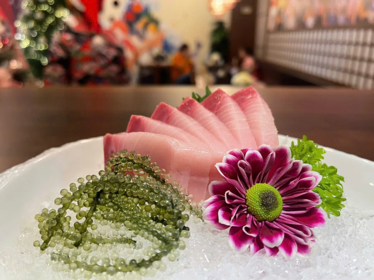 Hamachi Sashimi (Sashimi cá cam)